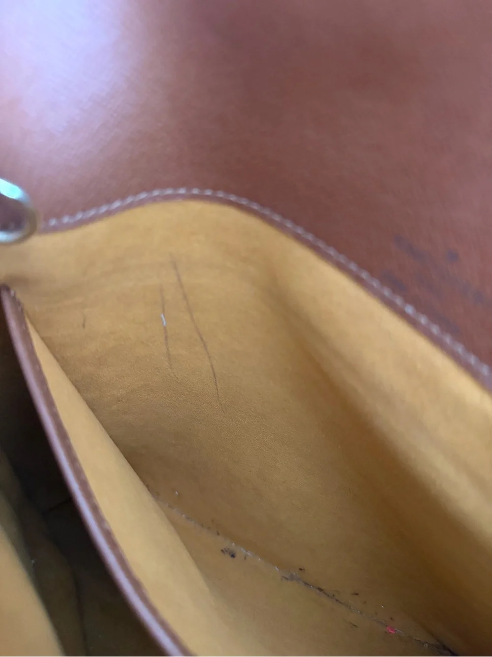 Louis Vuitton iconic louis